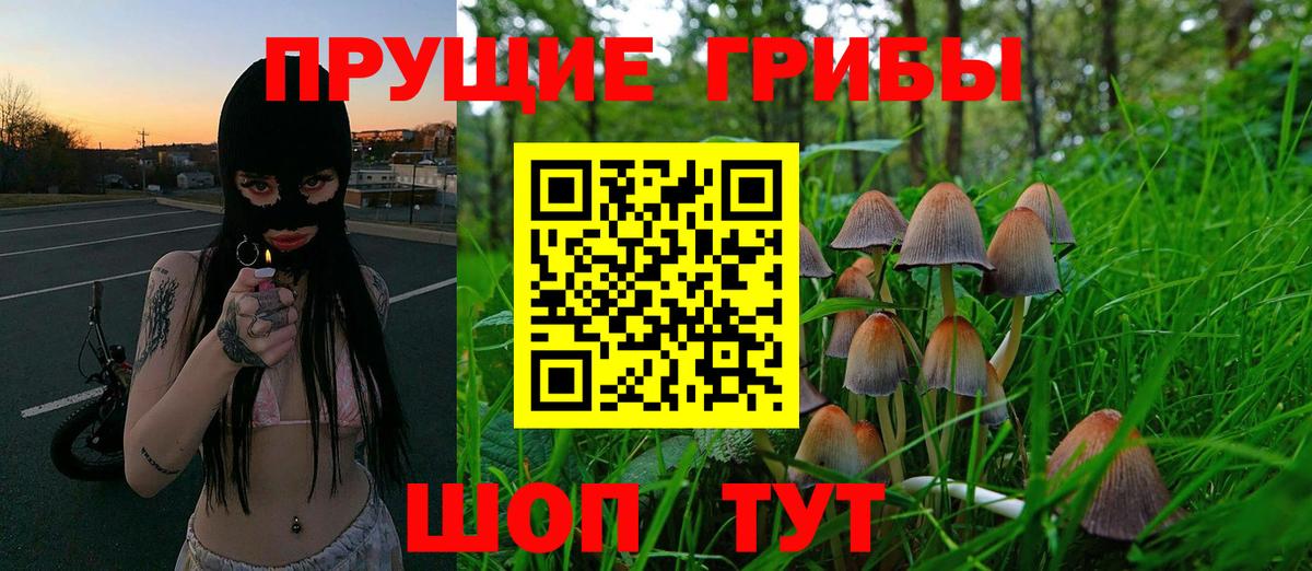 Галлюциногенные грибы Magic Shrooms  Вход с VPN  Псилоцибиновые грибы прущие грибы  Брянск 